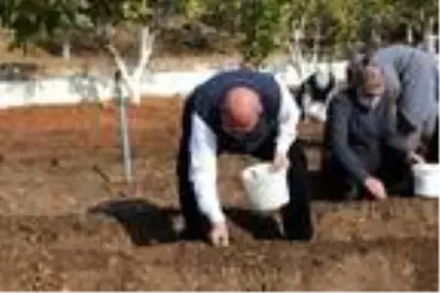 Keçi sütü ve salep üretene 10 yıl alım garantisi Keçi sütü ve salep üretene 10 yıl alım garantisi