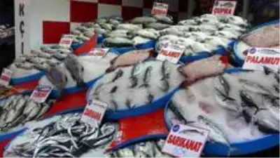 Kendisi küçük, lezzeti büyük...Karadeniz hamsisine yoğun ilgi Kendisi küçük, lezzeti büyük...Karadeniz hamsisine yoğun ilgi