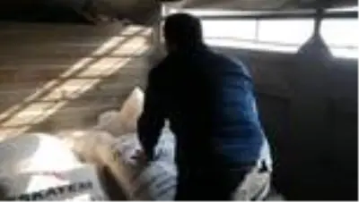 Son dakika haber | Kütahya'da yangında 70 koyunu telef olan üreticiye destek seferberliği Son dakika haber | Kütahya'da yangında 70 koyunu telef olan üreticiye destek seferberliği