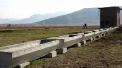 Muş'ta tarım ve hayvancılığa 1 milyon 600 bin liralık devlet desteği Muş'ta tarım ve hayvancılığa 1 milyon 600 bin liralık devlet desteği