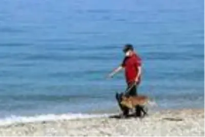 Narkotik köpeği 'Çayra' emekli oldu