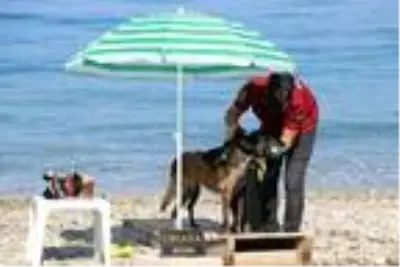 Narkotik köpeği 'Çayra' emekli oldu