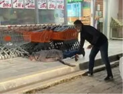 Önce boşanma aşamasındaki eşini, sonra kendini vurdu Önce boşanma aşamasındaki eşini, sonra kendini vurdu