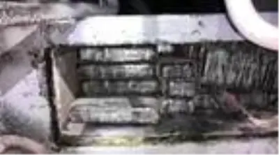 Otobüsteki 87 kilo eroini 'Alfa' buldu Otobüsteki 87 kilo eroini 'Alfa' buldu