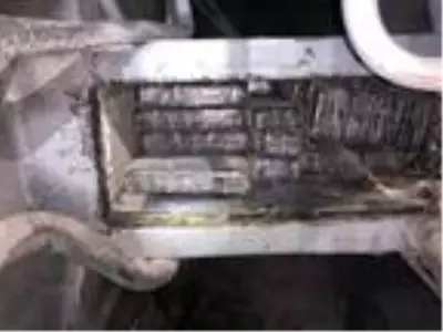 Otobüsteki 87 kilo eroini 'Alfa' buldu Otobüsteki 87 kilo eroini 'Alfa' buldu