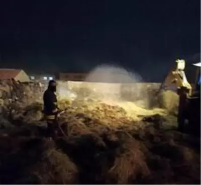 Özalp ilçesinde bin bağ ot yandı Özalp ilçesinde bin bağ ot yandı