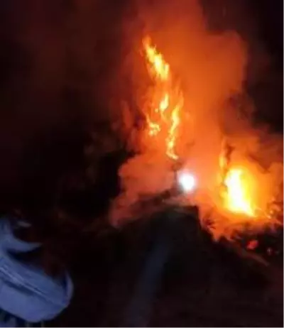 Özalp ilçesinde bin bağ ot yandı Özalp ilçesinde bin bağ ot yandı