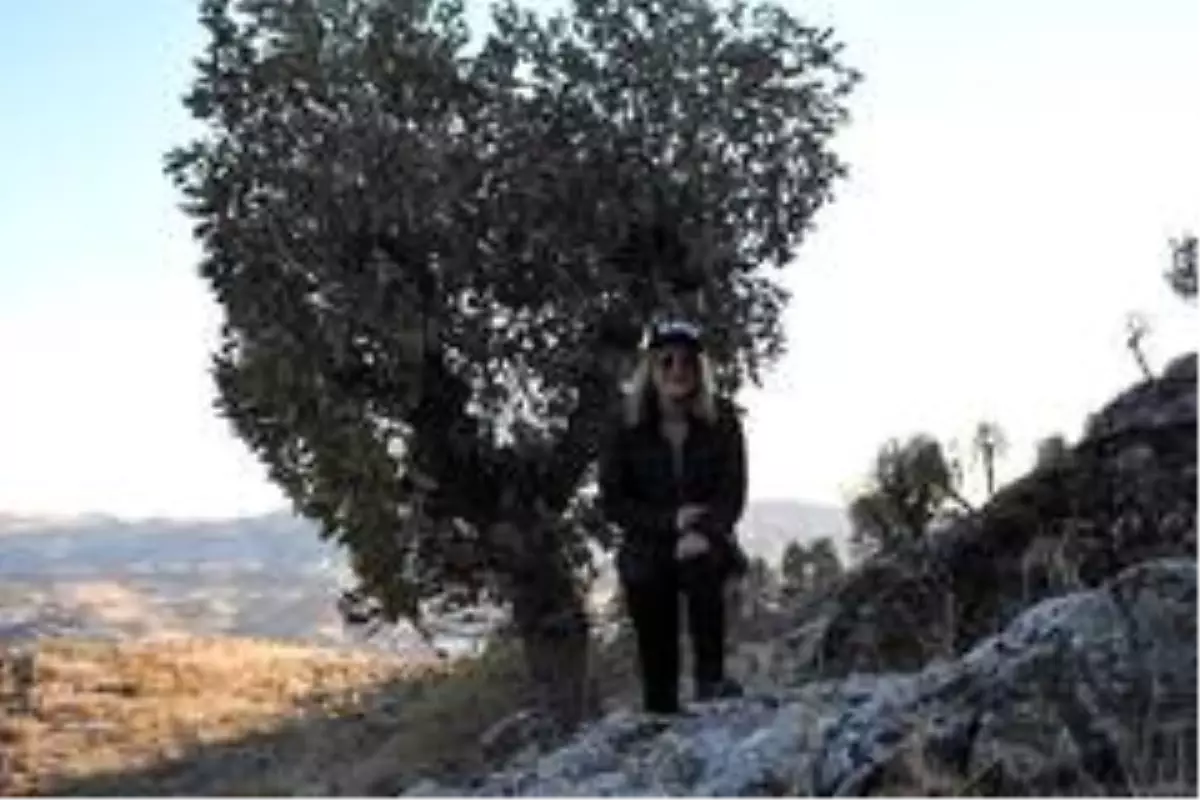 (Özel haber) Doğaseverler, Güneydoğu'nun Kapadokya'sında