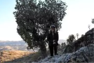 (Özel haber) Doğaseverler, Güneydoğu'nun Kapadokya'sında (Özel haber) Doğaseverler, Güneydoğu'nun Kapadokya'sında