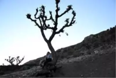 (Özel haber) Doğaseverler, Güneydoğu'nun Kapadokya'sında (Özel haber) Doğaseverler, Güneydoğu'nun Kapadokya'sında