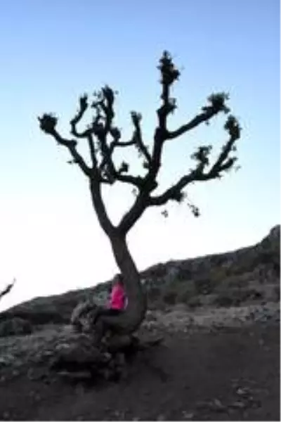 (Özel haber) Doğaseverler, Güneydoğu'nun Kapadokya'sında (Özel haber) Doğaseverler, Güneydoğu'nun Kapadokya'sında