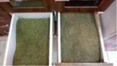 Pik yapan korona virüs salgını ile kekiğe talep arttı Pik yapan korona virüs salgını ile kekiğe talep arttı