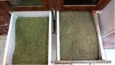 Pik yapan korona virüs salgını ile kekiğe talep arttı Pik yapan korona virüs salgını ile kekiğe talep arttı