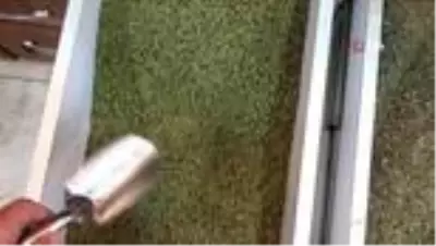 Pik yapan korona virüs salgını ile kekiğe talep arttı Pik yapan korona virüs salgını ile kekiğe talep arttı