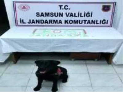 Samsun'da jandarma ekipleri 12 kilo esrar 966 adet sentetik hap ele geçirdi Samsun'da jandarma ekipleri 12 kilo esrar 966 adet sentetik hap ele geçirdi