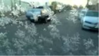Soğuk hava yaşamı olumsuz etkiliyor Soğuk hava yaşamı olumsuz etkiliyor
