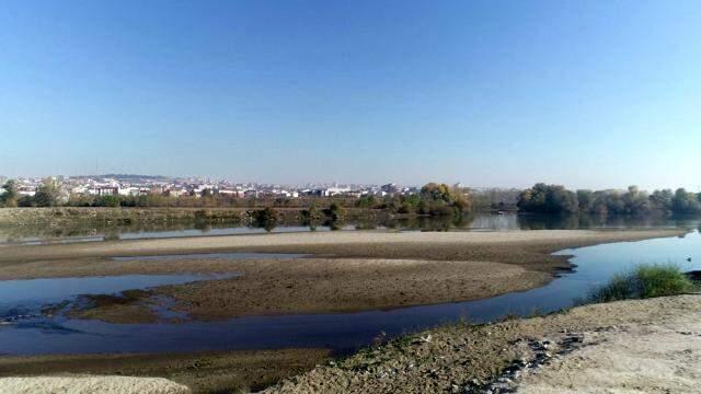 Su seviyesi düşen Meriç Nehri'nde oluşan kum adacıkları korkuttu! Yağış olmazsa buğday üretiminde sıkıntı yaşanacak Su seviyesi düşen Meriç Nehri'nde oluşan kum adacıkları korkuttu! Yağış olmazsa buğday üretiminde sıkıntı yaşanacak