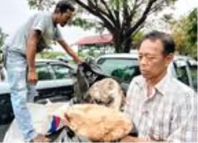 Tayland'da balıkçılar 25 milyon lira değerinde balina kusmuğu buldu Tayland'da balıkçılar 25 milyon lira değerinde balina kusmuğu buldu