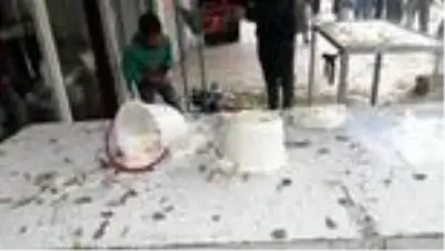 Son dakika haberleri | Terör saldırısı Son dakika haberleri | Terör saldırısı