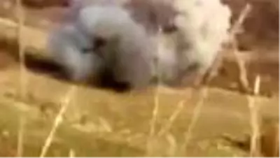 Bitlis'te teröristlere ait iki lav silahı ile mühimmat ele geçirildi Bitlis'te teröristlere ait iki lav silahı ile mühimmat ele geçirildi