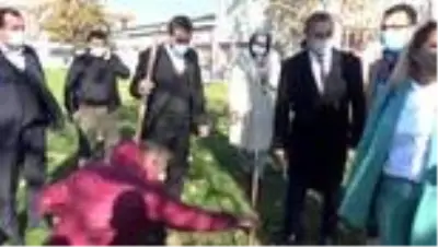 TSE binasının fidanları, Kestel Belediyesi'nden TSE binasının fidanları, Kestel Belediyesi'nden