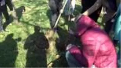 TSE binasının fidanları, Kestel Belediyesi'nden TSE binasının fidanları, Kestel Belediyesi'nden