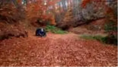 Uludağ 'hazan mevsimi'nin son demlerinde bir başka güzel Uludağ 'hazan mevsimi'nin son demlerinde bir başka güzel
