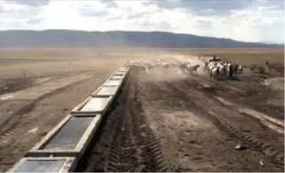 Van Büyükşehir Belediyesinden hayvancılığa sıvat desteği Van Büyükşehir Belediyesinden hayvancılığa sıvat desteği