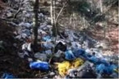 Yaylada ormanlık alan çöplüğe döndü Yaylada ormanlık alan çöplüğe döndü