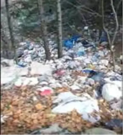 Yaylada ormanlık alan çöplüğe döndü Yaylada ormanlık alan çöplüğe döndü