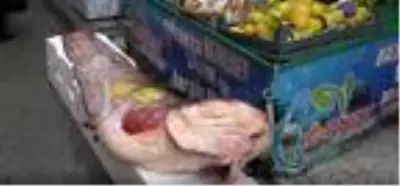 108 kiloluk yayın balığı, kilosu 50 liradan satışta 108 kiloluk yayın balığı, kilosu 50 liradan satışta