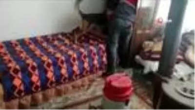 Fideleri odada, keneviri çatıda yetiştirdi Fideleri odada, keneviri çatıda yetiştirdi