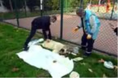 AVCILAR'DA MAHALLE SAKİNLERİ HASTA SOKAK KÖPEĞİ İÇİN SEFERBER OLDU AVCILAR'DA MAHALLE SAKİNLERİ HASTA SOKAK KÖPEĞİ İÇİN SEFERBER OLDU
