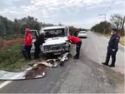 Burhaniye'de trafik kazası: 4 yaralı Burhaniye'de trafik kazası: 4 yaralı