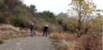 Reyhanlı: Hatay'da görüntülenen 2 yeni kuşla kayıt altına alınan tür sayısı 372'ye ulaştı Reyhanlı: Hatay'da görüntülenen 2 yeni kuşla kayıt altına alınan tür sayısı 372'ye ulaştı
