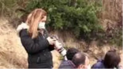 Hatay'da görüntülenen 2 yeni kuşla kayıt altına alınan tür sayısı 372'ye ulaştı Hatay'da görüntülenen 2 yeni kuşla kayıt altına alınan tür sayısı 372'ye ulaştı