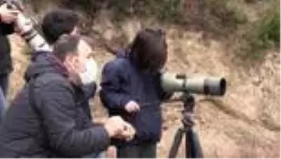 Hatay'da görüntülenen 2 yeni kuşla kayıt altına alınan tür sayısı 372'ye ulaştı Hatay'da görüntülenen 2 yeni kuşla kayıt altına alınan tür sayısı 372'ye ulaştı