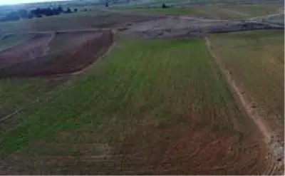 Hububat üreticisi gözünü bulutlara dikti Hububat üreticisi gözünü bulutlara dikti