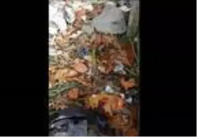 İçecek kutusuna sıkışan kertenkeleyi penseyle kurtardı İçecek kutusuna sıkışan kertenkeleyi penseyle kurtardı