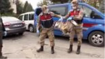 Son dakika haber... Jandarmadan yaralı kızıl şahine şefkat eli Son dakika haber... Jandarmadan yaralı kızıl şahine şefkat eli