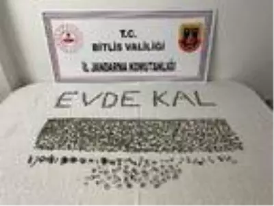 Kaçak kazı yapan definecilere suçüstü; bin adet sikke ele geçirildi, 2 gözaltı Kaçak kazı yapan definecilere suçüstü; bin adet sikke ele geçirildi, 2 gözaltı