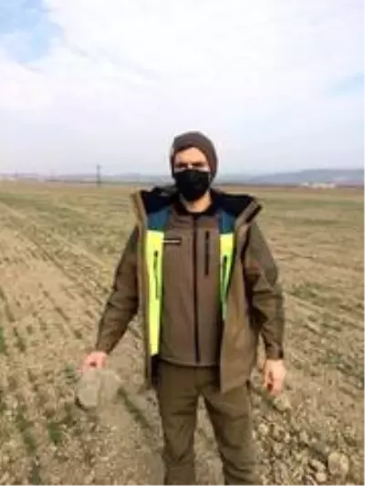 Kafasına plastik şişe sıkışan köpeği DKMP ekipleri kurtardı Kafasına plastik şişe sıkışan köpeği DKMP ekipleri kurtardı