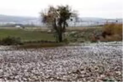 Son dakika haberleri! Kar yağışının olduğu Tekirdağ'da, kış lastiği denetimi Son dakika haberleri! Kar yağışının olduğu Tekirdağ'da, kış lastiği denetimi