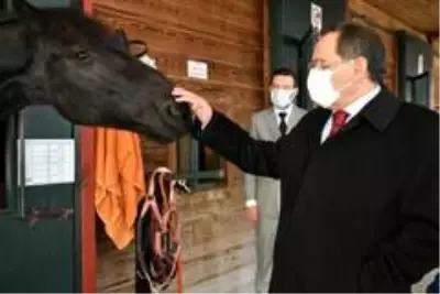Karadeniz'in en büyük binicilik tesisi yenilenecek Karadeniz'in en büyük binicilik tesisi yenilenecek