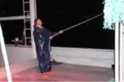 Kasa kasa hamsiyle dönüyorlar Kasa kasa hamsiyle dönüyorlar