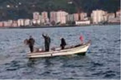 Kasa kasa hamsiyle dönüyorlar Kasa kasa hamsiyle dönüyorlar