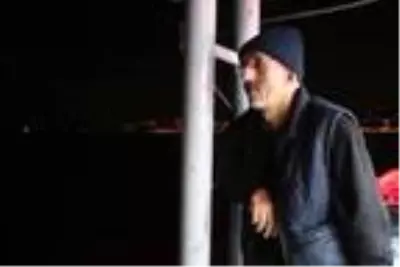 Kasa kasa hamsiyle dönüyorlar Kasa kasa hamsiyle dönüyorlar