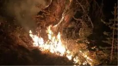 Son dakika haberi: Kastamonu'da çıkan orman yangını kontrol altına alındı Son dakika haberi: Kastamonu'da çıkan orman yangını kontrol altına alındı