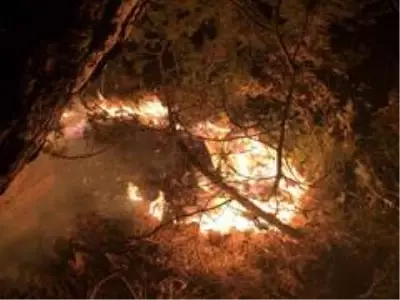 Son dakika haberi: Kastamonu'da çıkan orman yangını kontrol altına alındı Son dakika haberi: Kastamonu'da çıkan orman yangını kontrol altına alındı