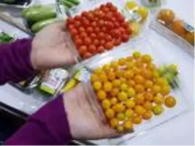 Korona sürecinde mini sebzelere ilgi arttı Korona sürecinde mini sebzelere ilgi arttı